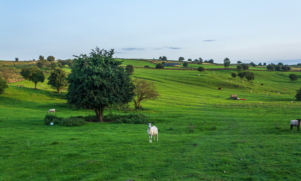 Brassington Moor Brassington Moor